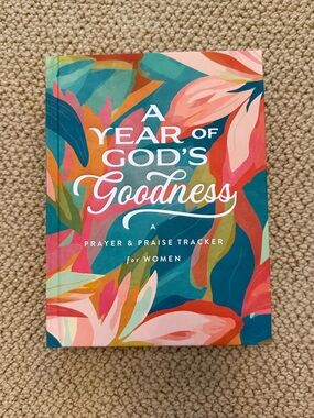 a year of gods goodness prayer journal!
